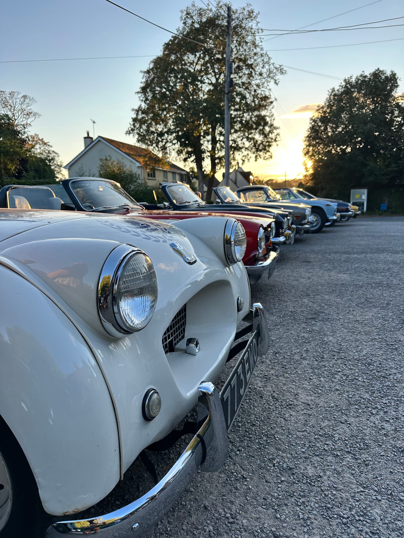 A line of TRs parked into the sunset