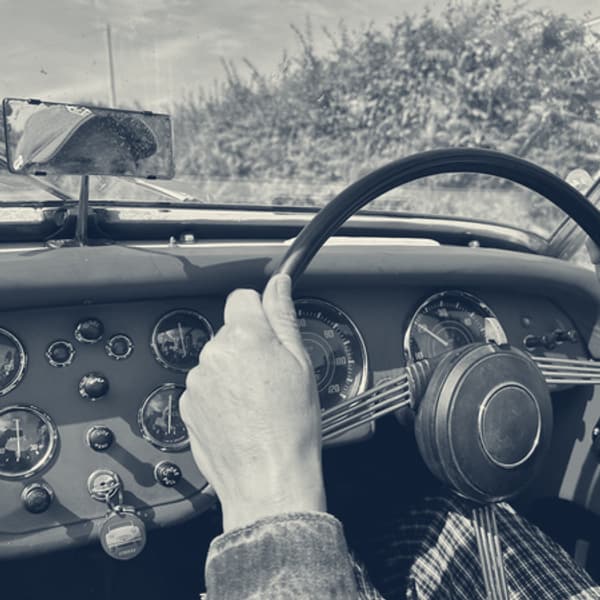Hands on the wheel of TS2, red dash and its row of gauges ahead, hedgerow going past