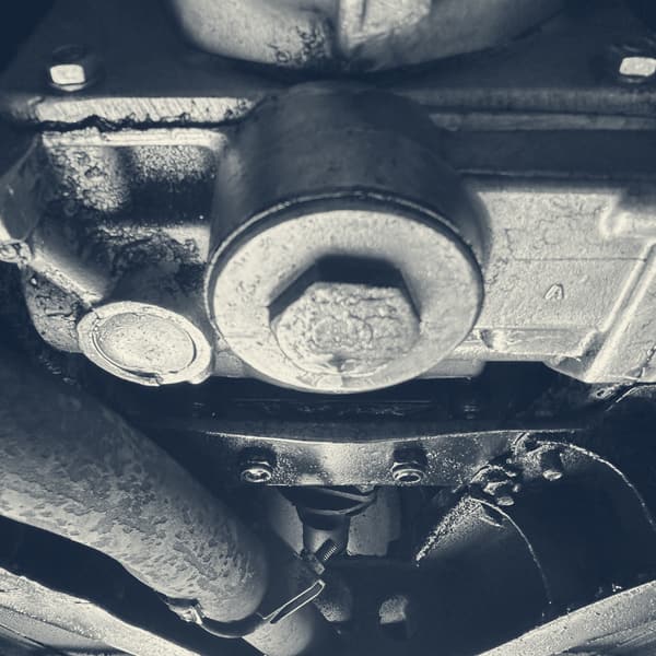 The gearbox from below, a filler plug ringed with fresh grease