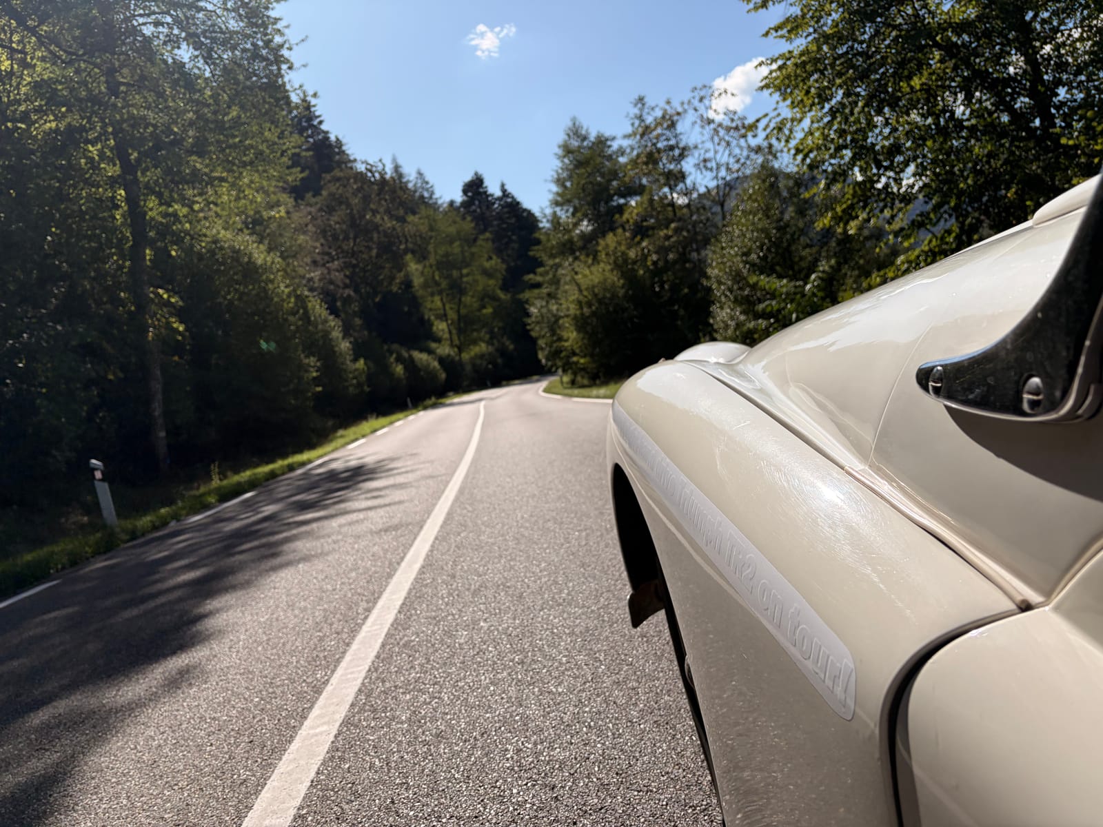 A wide French road curving through trees in dappled sun, TS2's front wing in the corner