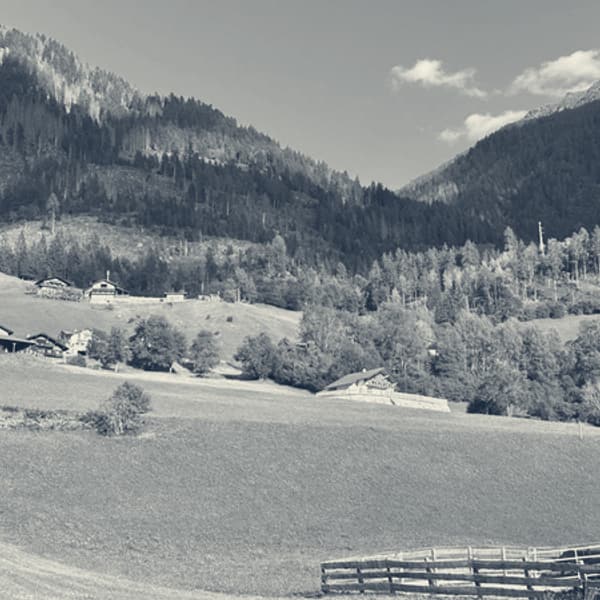 Cropped green pasture running up to the treeline, farm buildings and hay barns scattered across it