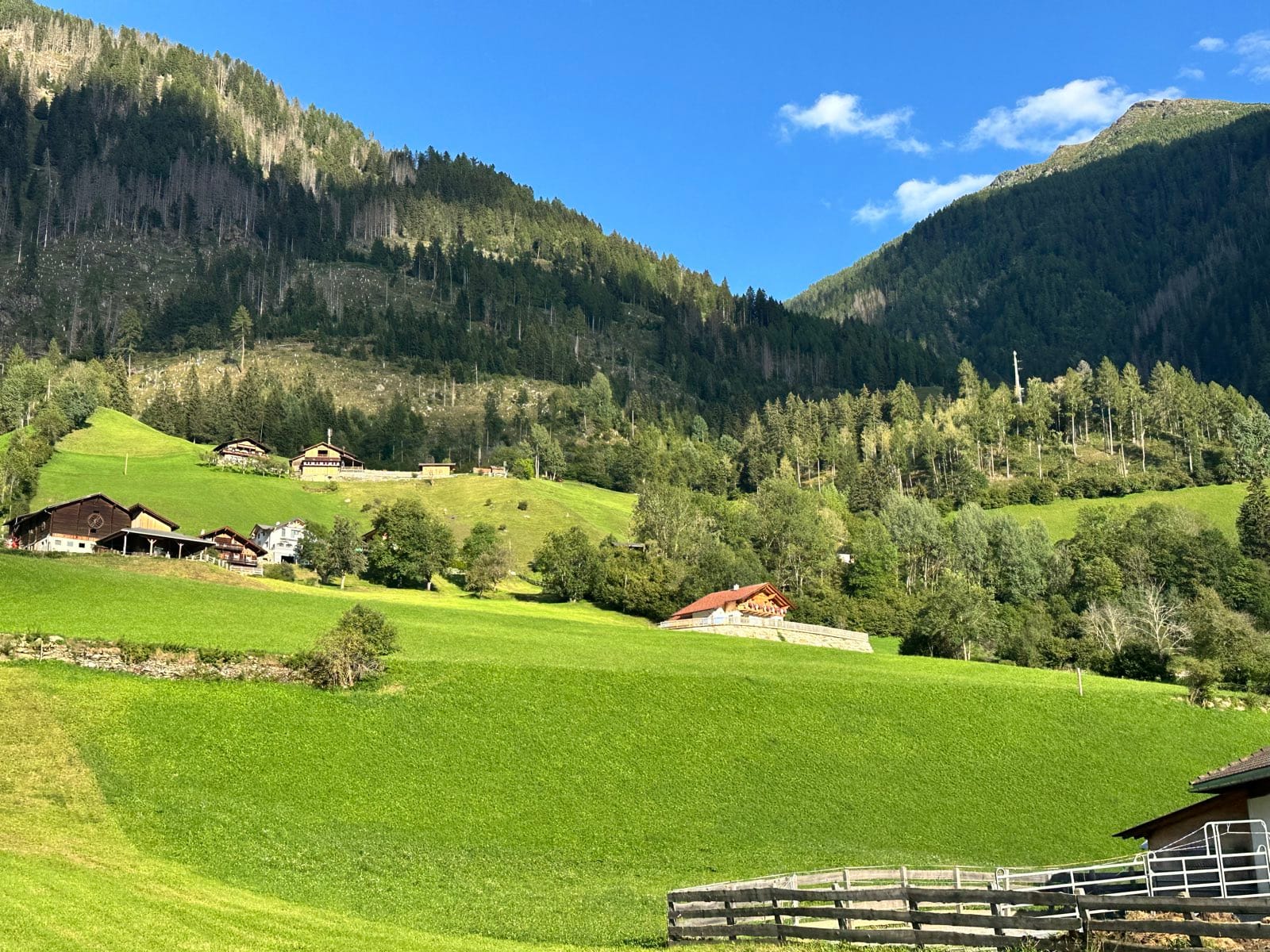 Cropped green pasture running up to the treeline, farm buildings and hay barns scattered across it