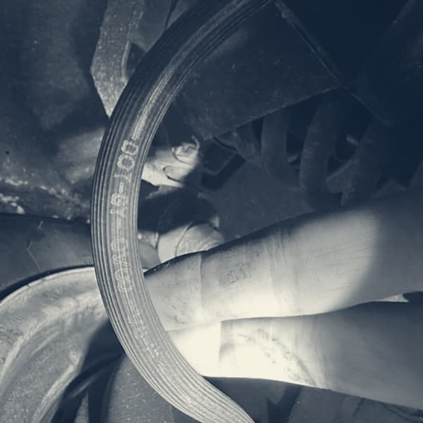 The old hose curled in oily fingers under the car, its moulded lettering reading 1Q 00, the tyre and wheel rim behind