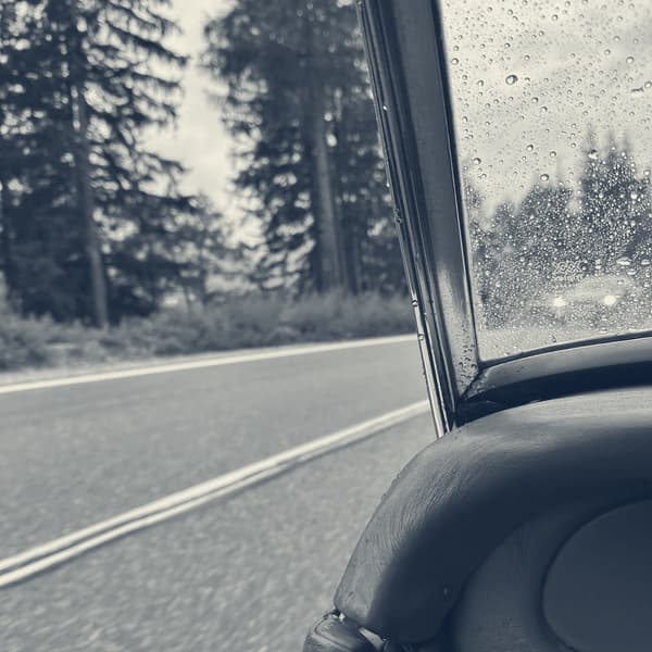 Rain beading on the glass beside the windscreen frame, spruces going past above the red door top