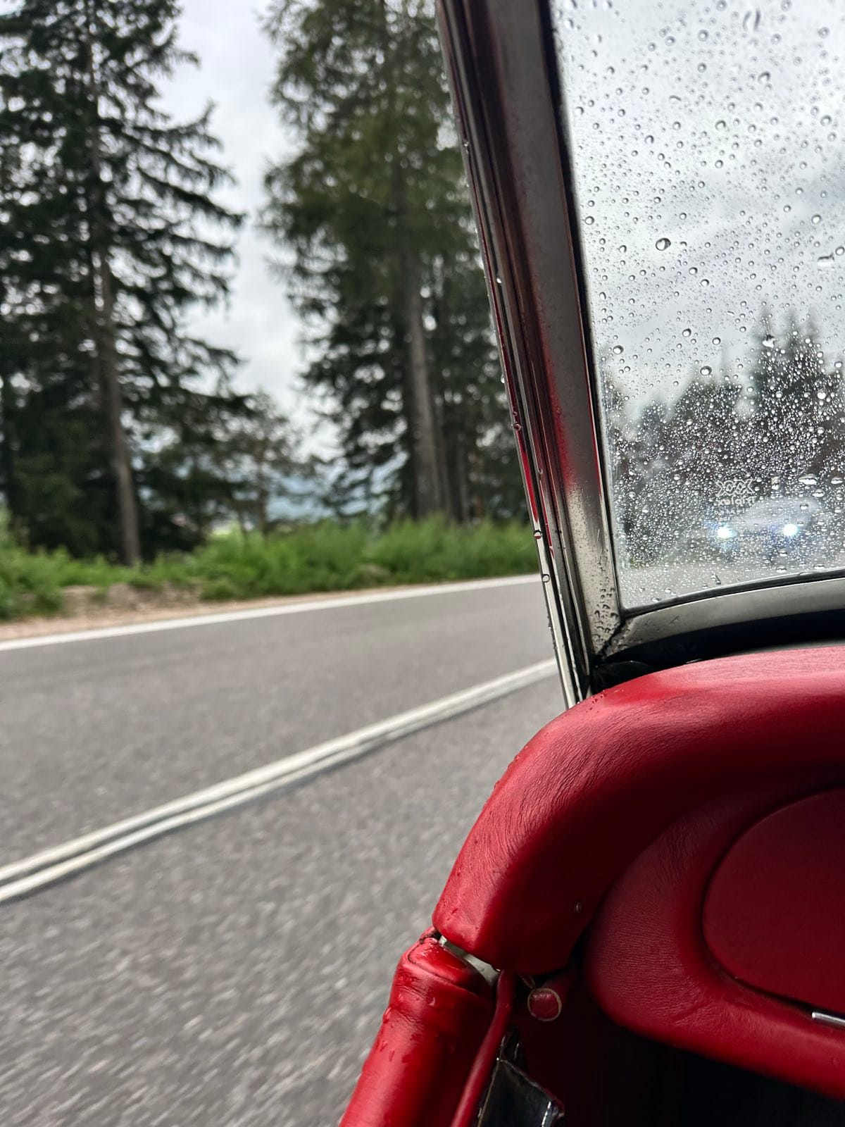 Rain beading on the glass beside the windscreen frame, spruces going past above the red door top