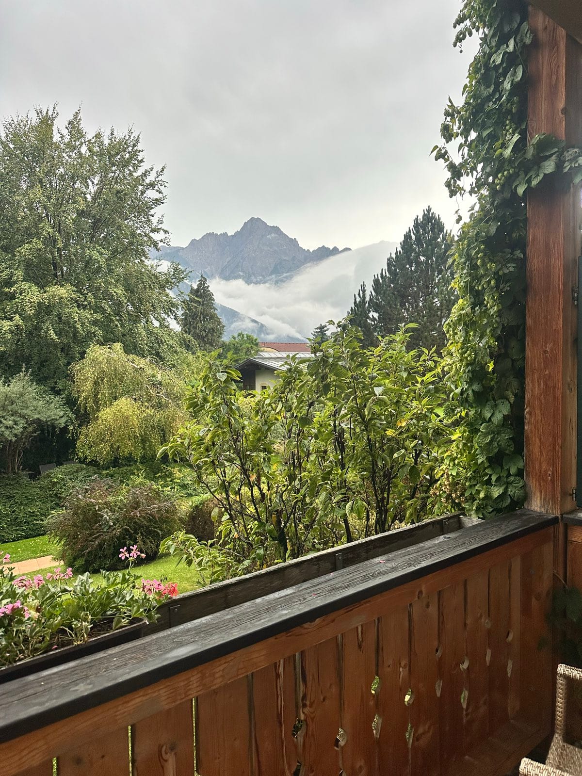 The view from the hotel balcony, wet garden below and cloud lying along a rocky ridge