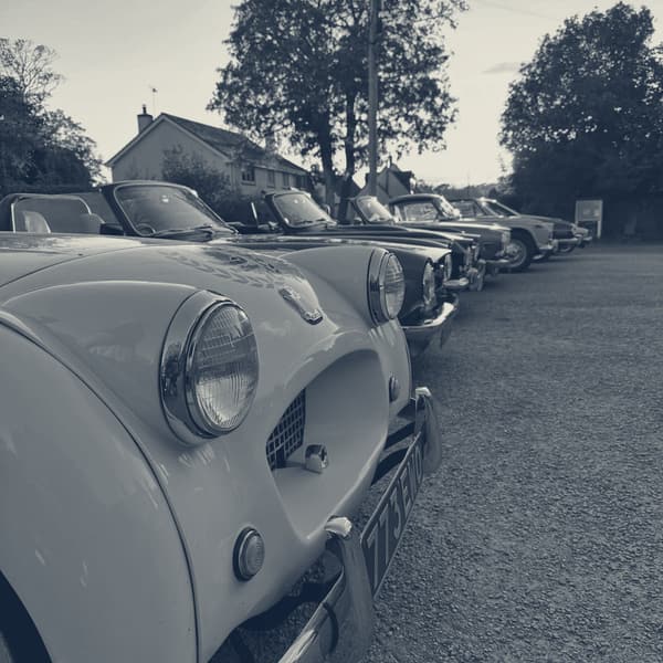 Belle of the ball at the Dorset and Wessex TR Register BBQ. #trregister #ts2 #10cr